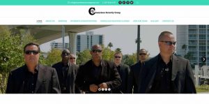 chameleonsecuritygroup